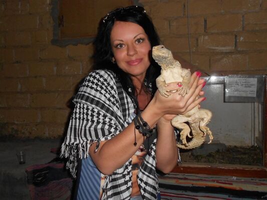  ,   , 41 ,   ,   , c 