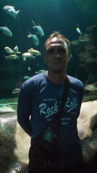  ,   , 48 ,   