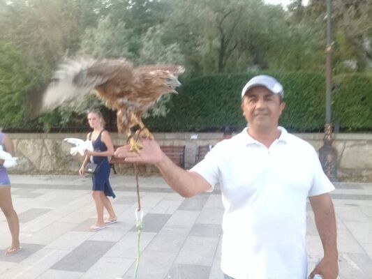  ,   , 46 ,   ,   , c 