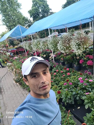  -,   , 33 ,   ,   , 