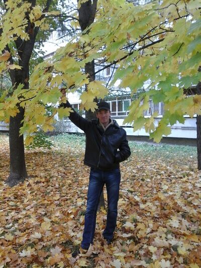  ,   , 54 ,   