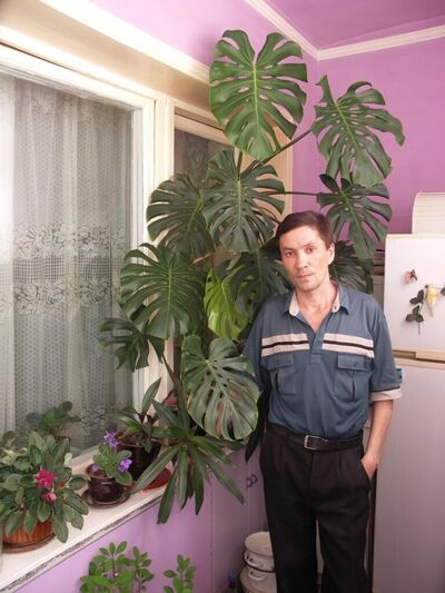  ,   Anvar, 53 ,   ,   , c 