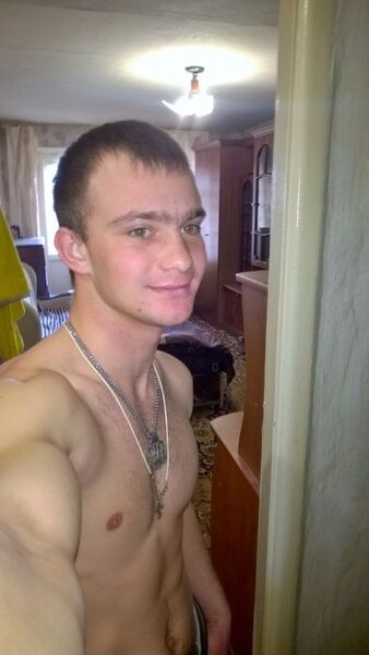  ,   VOLK, 29 ,   