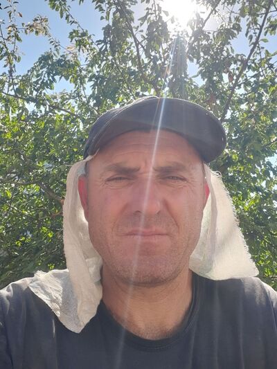  ,   , 43 ,   ,   