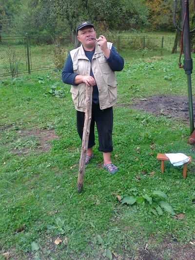  ,   , 52 ,   