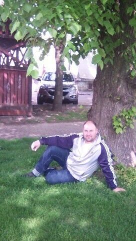  ,   IGOR, 43 ,   ,   , c 