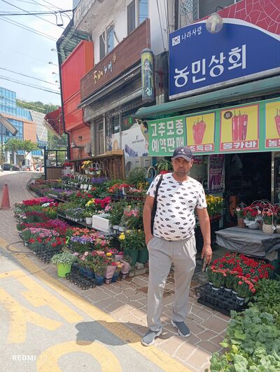  Ch'ongju,   Odil, 37 ,   ,   