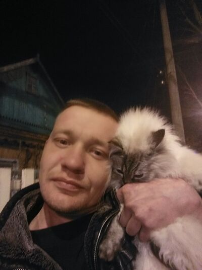  ,   , 41 ,     , c 