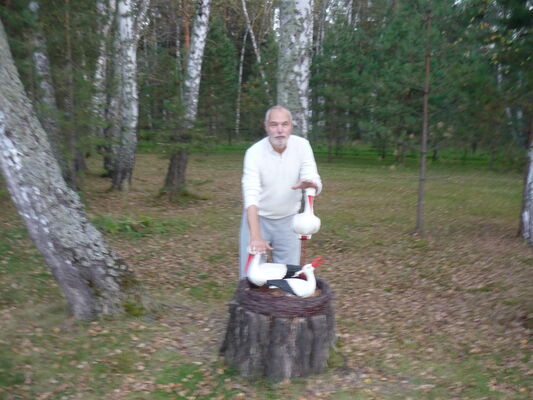  ,   , 61 ,   