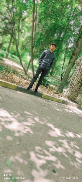  -,   , 29 ,   ,   