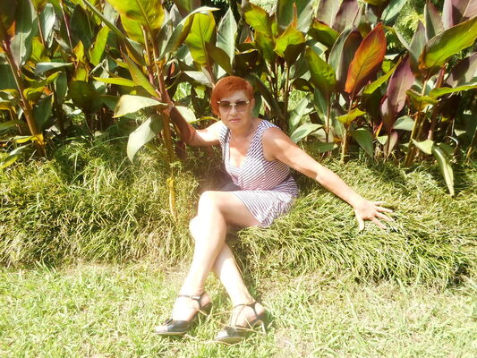  ,       , 63 ,   