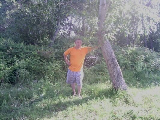  --,   , 41 ,     , c 