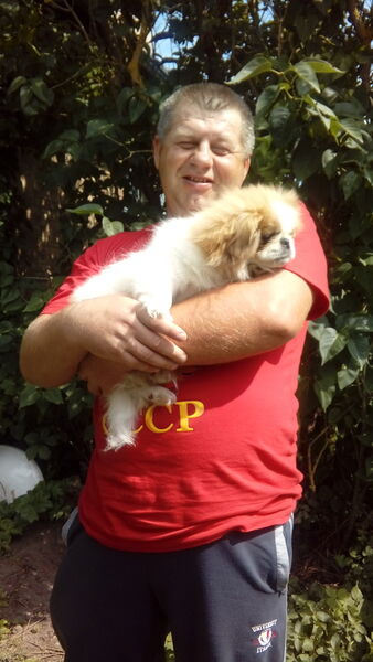  ,   Viktor, 54 ,   