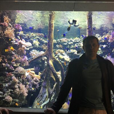  ,   Alvis, 44 ,   , 
