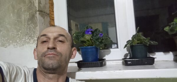   ,   , 48 ,   c 