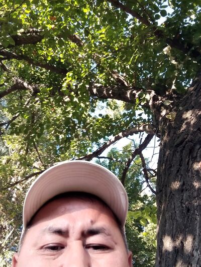  ,   , 46 ,   ,   