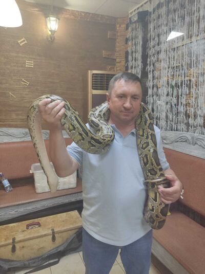  ,   , 50 ,   ,   
