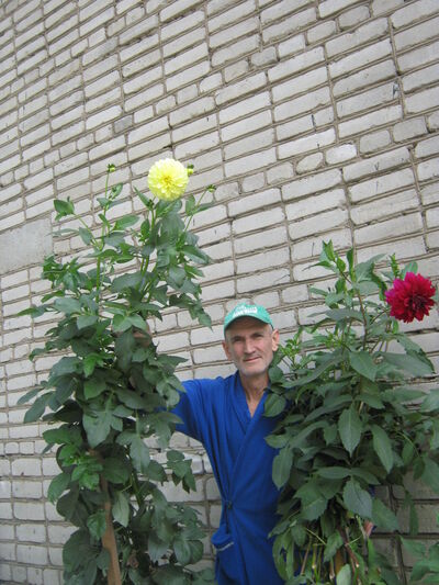  ,   , 63 ,   