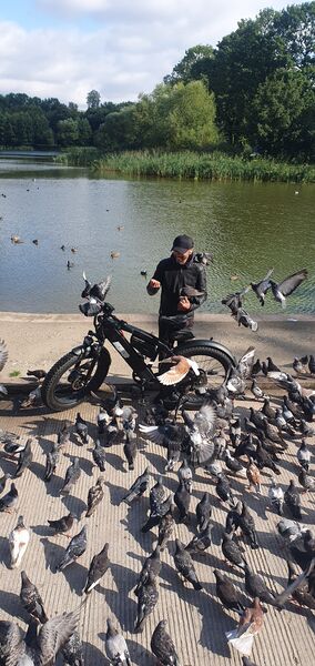  ,   , 43 ,     , c 