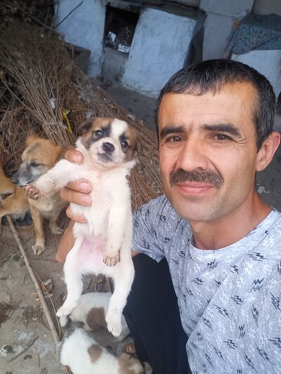  ,   , 44 ,   c 