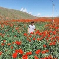  ,   Ysuf, 31 ,   ,   , c 