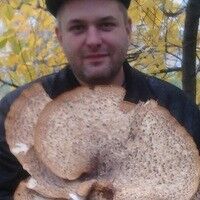  ,   , 46 ,   