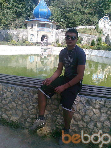 ,   Borea, 33 ,   