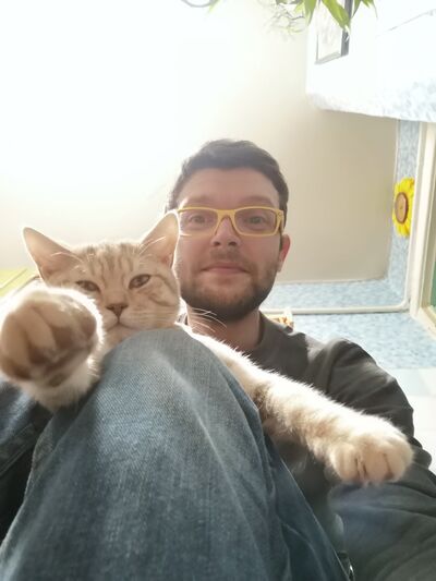  ,   , 34 ,   ,   