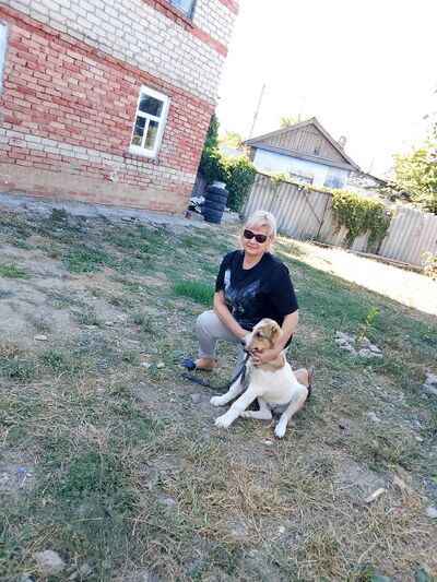  --,   , 56 ,   ,   , 