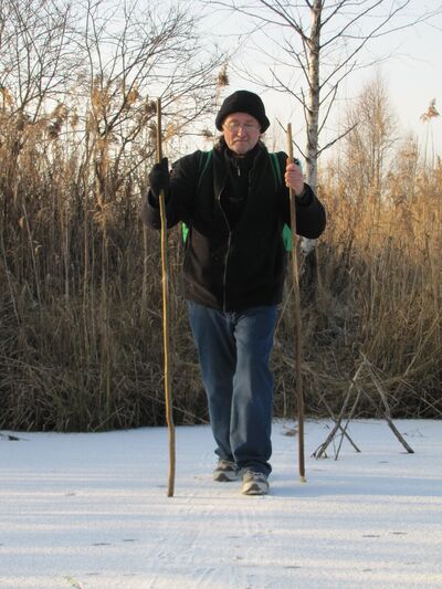  ,   Henry, 64 ,   ,   
