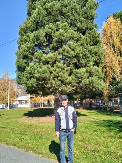  ,   , 61 ,   ,   , c 