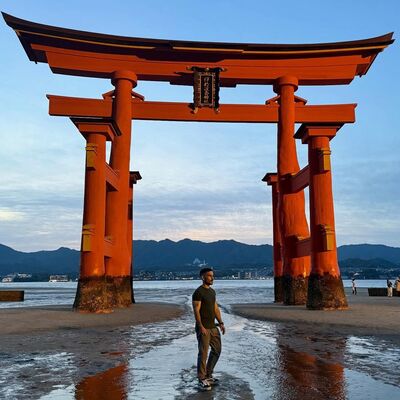  --,   , 33 ,   ,   , c , 