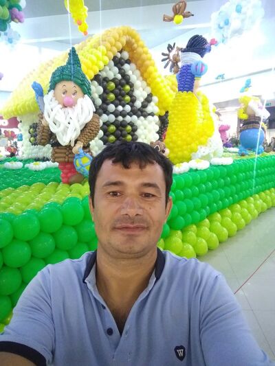  ,   , 38 ,  