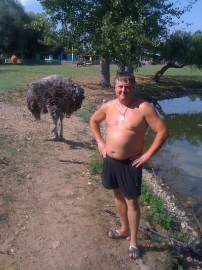  ,   , 53 ,   