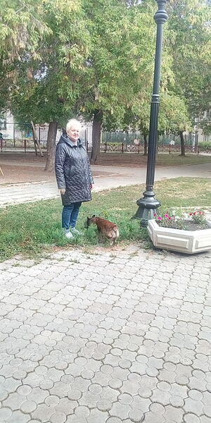  ,   , 59 ,   ,   