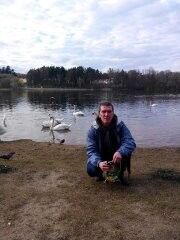 ���������� �����, ���� ������� �������, 50 ���, ������������ ��� ������