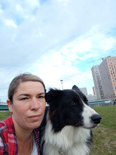  ,   , 38 ,     , c , 