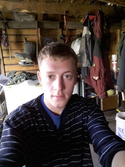  -,   , 33 ,   , 