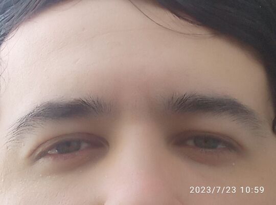  ,   RaEeS, 24 ,   ,   