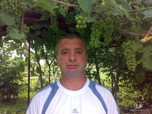  ,   , 58 ,   