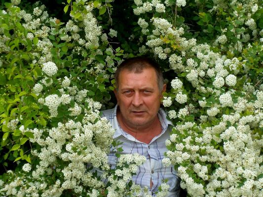  ,   , 63 ,   ,   , c 