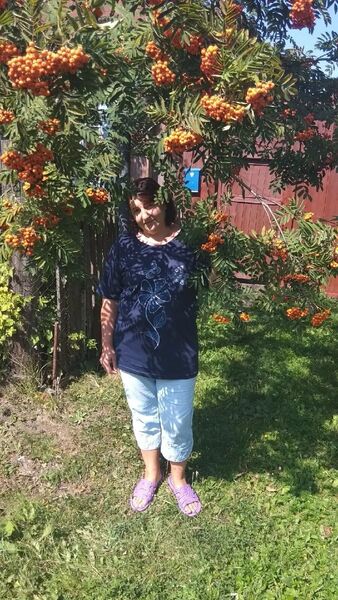  ,   , 51 ,     , 