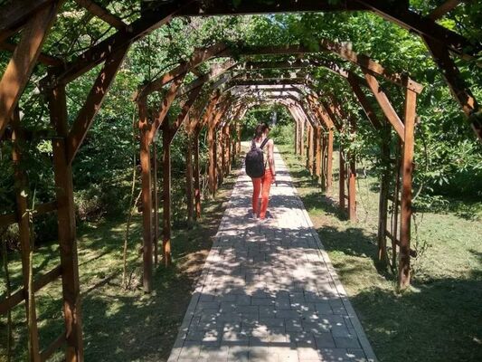  ,   Xenia, 25 ,   ,   , c 