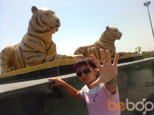  ,   BEKA, 33 ,     , c 