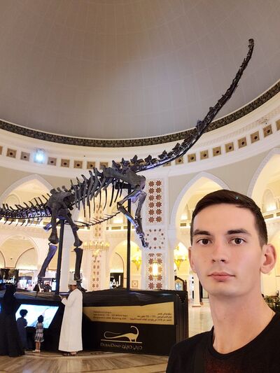  ,    , 29 ,   