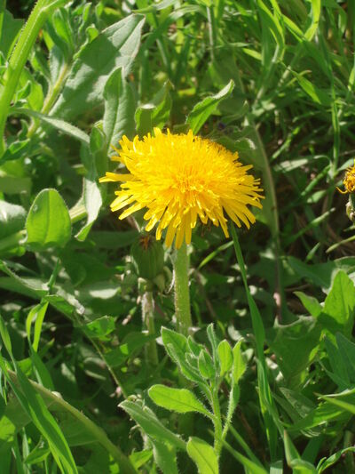  ,   , 64 ,   ,   , c 