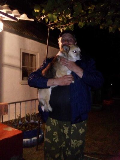  ,   Igor, 50 ,   c 