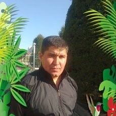  ,   , 44 ,   