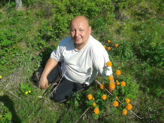  ,   , 49 ,   