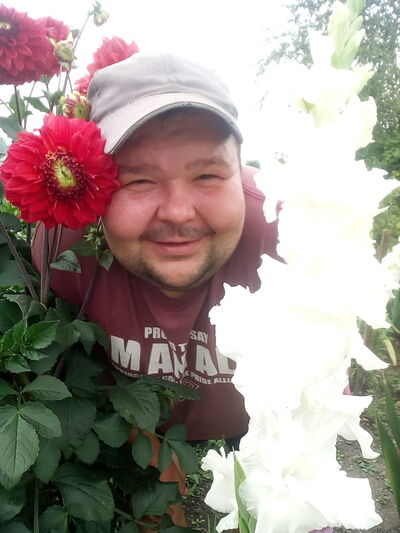  ,   , 41 ,   ,   
